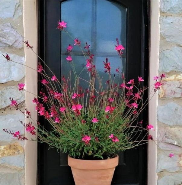 B&B Casa Escondida, Adults Only Alte Dış mekan fotoğraf